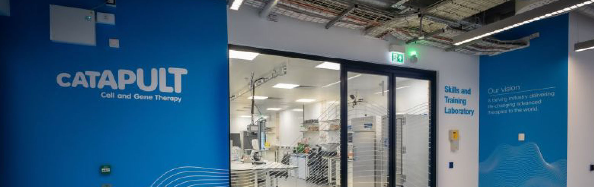 Catapult Case study by Thrive Partners